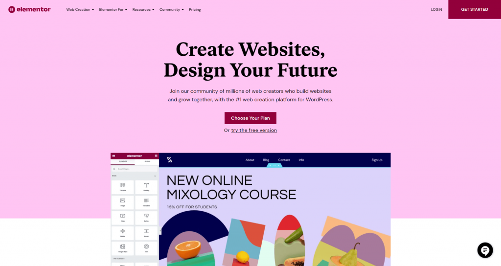 Elementor Page Builder Home Page