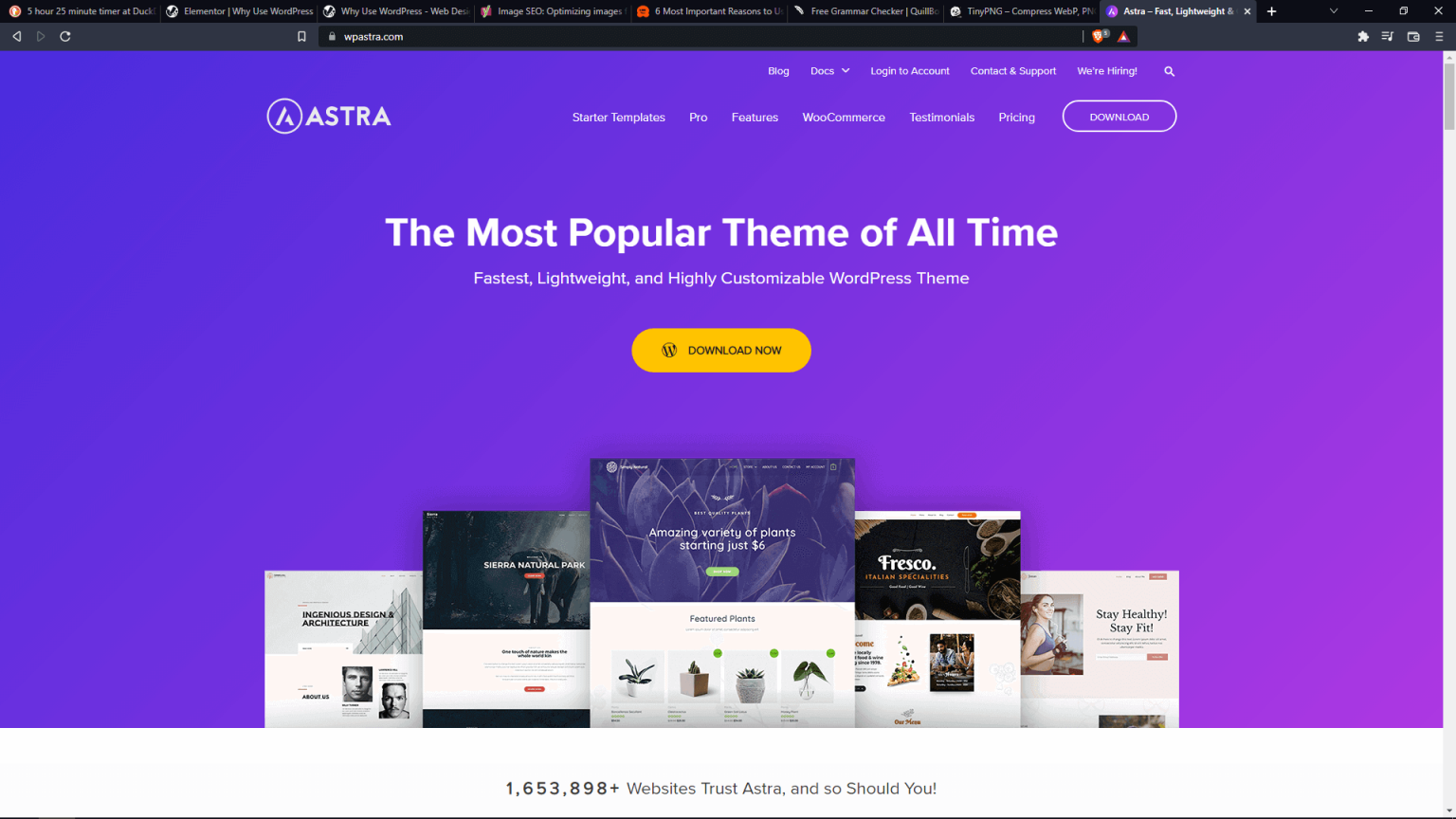 Astra Theme Home Page