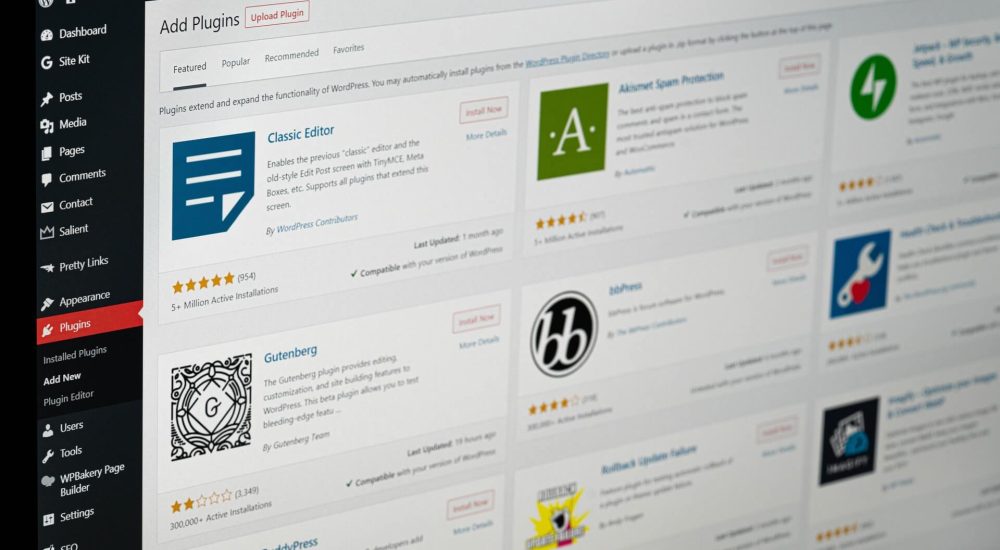 WordPress Plugins Page